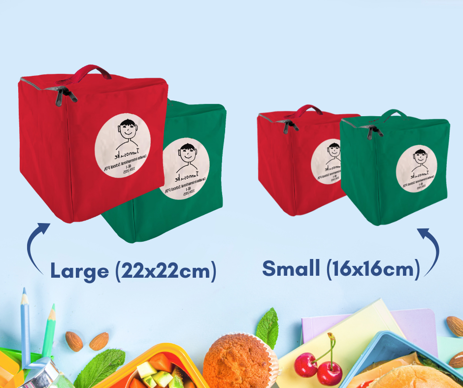 Large Insulated Lunchbags (22*22cms)