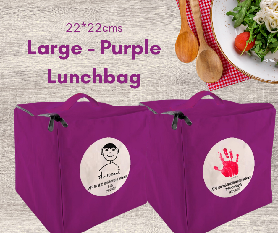 Large Insulated Lunchbags (22*22cms)