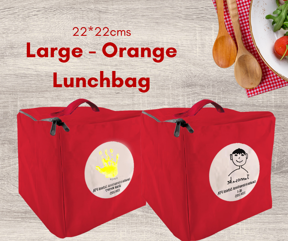 Large Insulated Lunchbags (22*22cms)