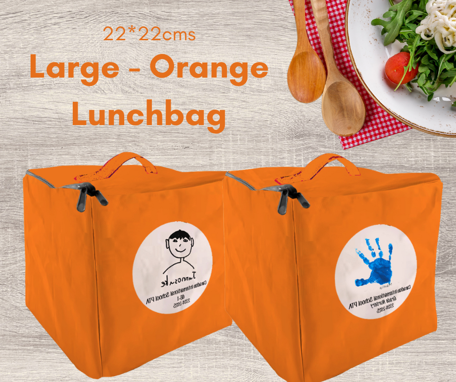 Large Insulated Lunchbags (22*22cms)