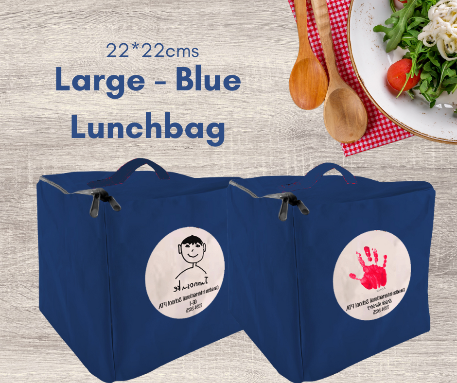 Large Insulated Lunchbags (22*22cms)