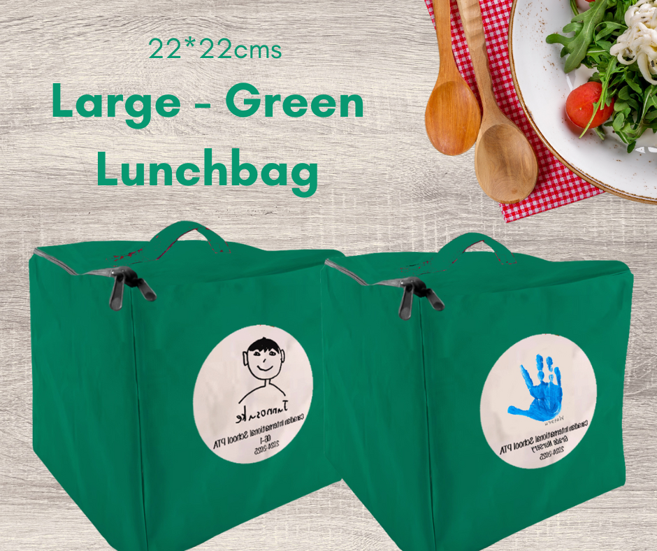 Large Insulated Lunchbags (22*22cms)