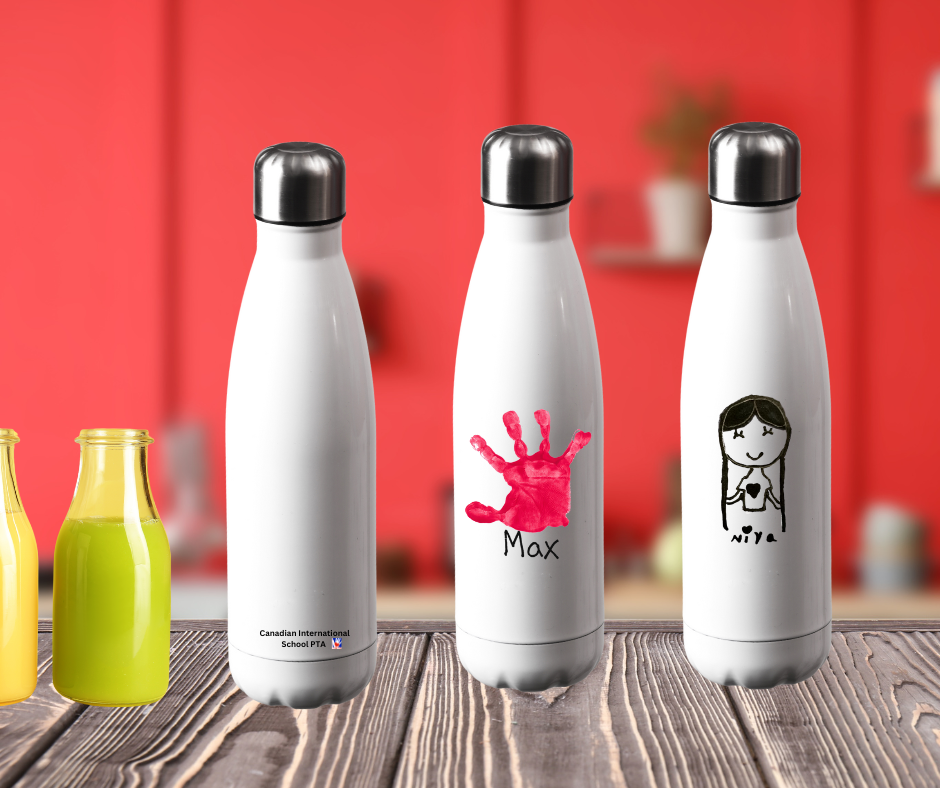 Large Insulated Water Bottles (750ml)