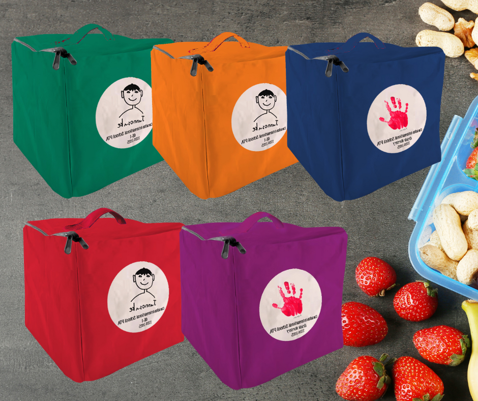 Small Insulated lunchbags (16*16cms)